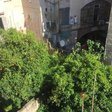 度假居 Terrazza Il Miglio